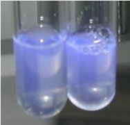 4-甲基傘形酮葡糖甘酸（MUG）對照培養(yǎng)基